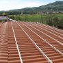 azienda-agricola-spigno-monferrato.1